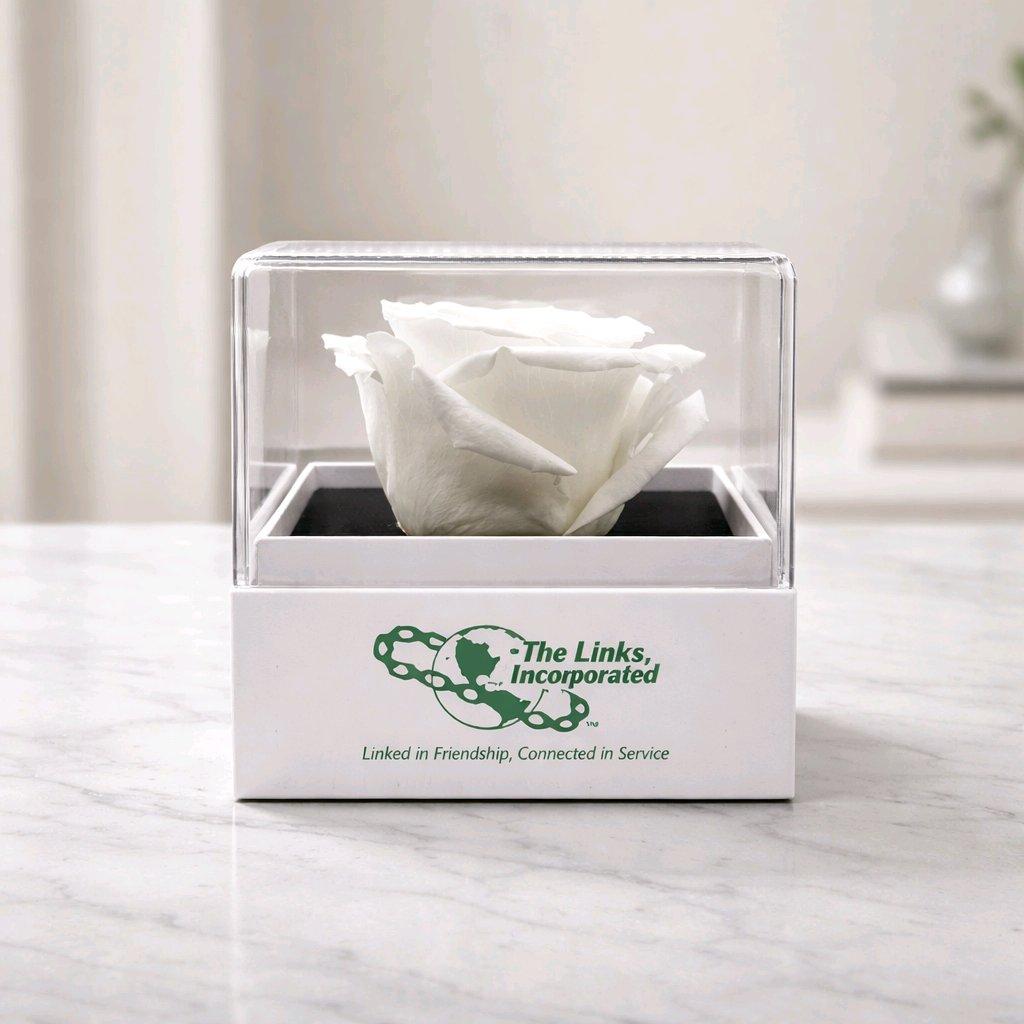 Preserved  White Forever Rose