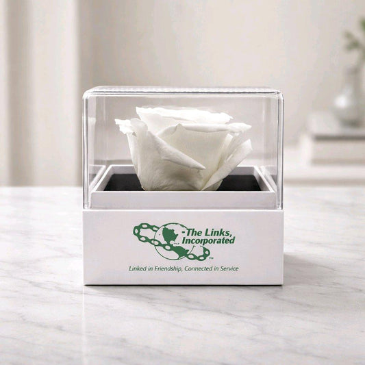 Preserved  White Forever Rose